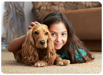 carpet cleaning upholstery cleaning fayetteville nc