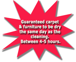lillington nc carpet furniture cleaning